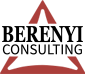 1-On-1 - Berenyi Consulting - Leadership Training and Mentoring
